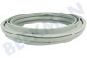 Whirlpool Lavadora Guarnición portilla modelo de esfera