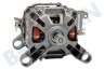 Balay Lavadora 145149, 00145149 Motor 151.60038.44