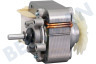 Rosieres Lavadora Motor del ventilador