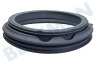 Altus Lavadora Brazalete