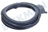 Grundig Lavadora Guarnición portilla Con pico