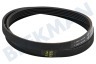 Beko Lavadora Correa 1265 J5 TEM