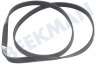 Hotpoint-ariston Secadora 92020, C00092020 Correa poly-V 1214 J5 = 1226 J5 MAEL
