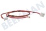Indesit Lavadora Conjunto de cables Cerradura de puerta + bomba de drenaje