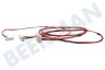 Indesit Lavadora Conjunto de cables Cerradura de puerta + bomba de drenaje