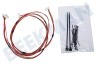 Indesit Lavadora Conjunto de cables Cerradura de puerta + bomba de drenaje