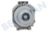 Whirlpool Lavadora C00302796 Bomba Drenaje sin caseta de bombas