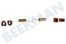 Miele Lavadora Escobilla de carbón contenedor -en amplia + goma