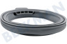 Whirlpool Lavadora Guarnición portilla Brazalete con pico ovalado