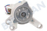 Bauknecht Lavadora motor