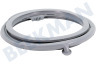 Zanussi Lavadora Brazalete