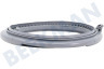 Zanussi Lavadora Brazalete
