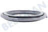 Zanussi Lavadora Brazalete