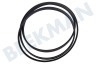 Haier Lavadora 0020300503 Cadena 1202EPJ5