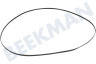 Smart brand Secadora Correa poly-V 7PH 1970 H7