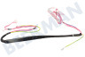Whirlpool Lavavajillas mazo de cables