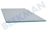 Juno Refrigerador Plato de vidrio