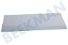 Juno Refrigerador Plato de vidrio