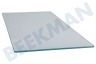 Leonard Refrigerador 2249087046 Tabla de estante Fondo del refrigerador
