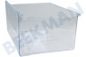 Arthur martin Refrigerador 140173357017 Cajón verdura Transparente