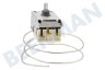 Seppelfricke Refrigerador Termostato ***K59-L1915 3K.+4.5/-27C
