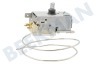 Seppelfricke Refrigerador Termostato ***K59-L1915 3K.+4.5/-27C