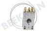 Seppelfricke Refrigerador Termostato ***K59-L1915 3K.+4.5/-27C