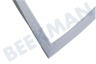 Indesit Refrigerador 115392, C00115392 Junta 972x554mm