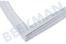 Scholtes Refrigerador 32142, C00032142 Junta Compartimento congelador de 567x588 mm