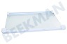 Hotpoint Refrigerador 517626, C00517626 Tabla de estante 434x292x4mm