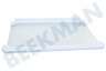 Hotpoint Refrigerador 517626, C00517626 Tabla de estante 434x292x4mm