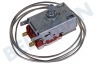 Indesit Refrigerador 143904, C00143904 Termostato K59 L4141