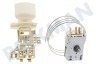 Atag Refrigerador Termostato Ranco K59L1229500 sustituye a Atea A13 0704