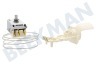 Atag Refrigerador Termostato Ranco K59L1229500 sustituye a Atea A13 0704