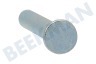 Neff Refrigerador 173630, 00173630 Clavavijas Pasador de la bisagra