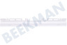 Blaupunkt Refrigerador desnudarse arriba