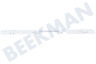 Blaupunkt Refrigerador desnudarse arriba