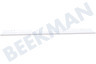 Blaupunkt Refrigerador desnudarse arriba