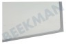 Lynx Refrigerador 00670907 Tabla de estante Con listón, 500x323x4mm