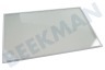 Lynx Refrigerador 00670907 Tabla de estante Con listón, 500x323x4mm
