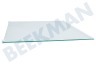 Bosch Refrigerador Estante de vidrio