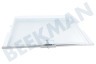 Siemens Refrigerador 747860, 00747860 Placa de vidrio completa