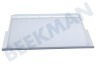 Bosch Refrigerador Plato de vidrio