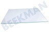 Bosch Refrigerador Plato de vidrio