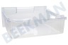 De dietrich Refrigerador 00438775 Cajón congelador Transparente 365x390x160mm