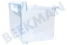 Bosch Refrigerador 448677, 00448677 cajón del congelador transparente