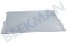Bosch Refrigerador 358767, 00358767 Plato de vidrio