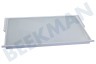 Bosch Refrigerador 358767, 00358767 Plato de vidrio