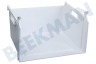 Bosch Refrigerador 743232, 00743232 Cajón congelador Blanco Sin Frente