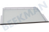 Siemens Refrigerador Plato de vidrio